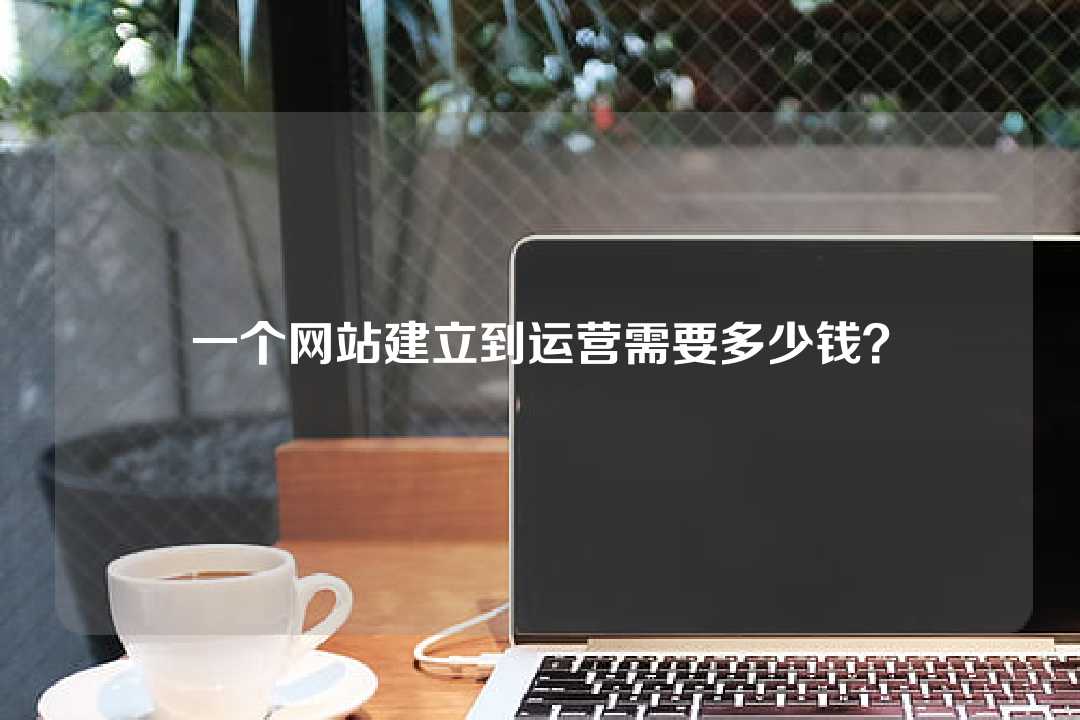 一個網(wǎng)站建立到運(yùn)營需要多少錢？