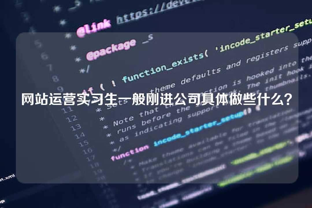 網站運營實習生一般剛進公司具體做些什么？