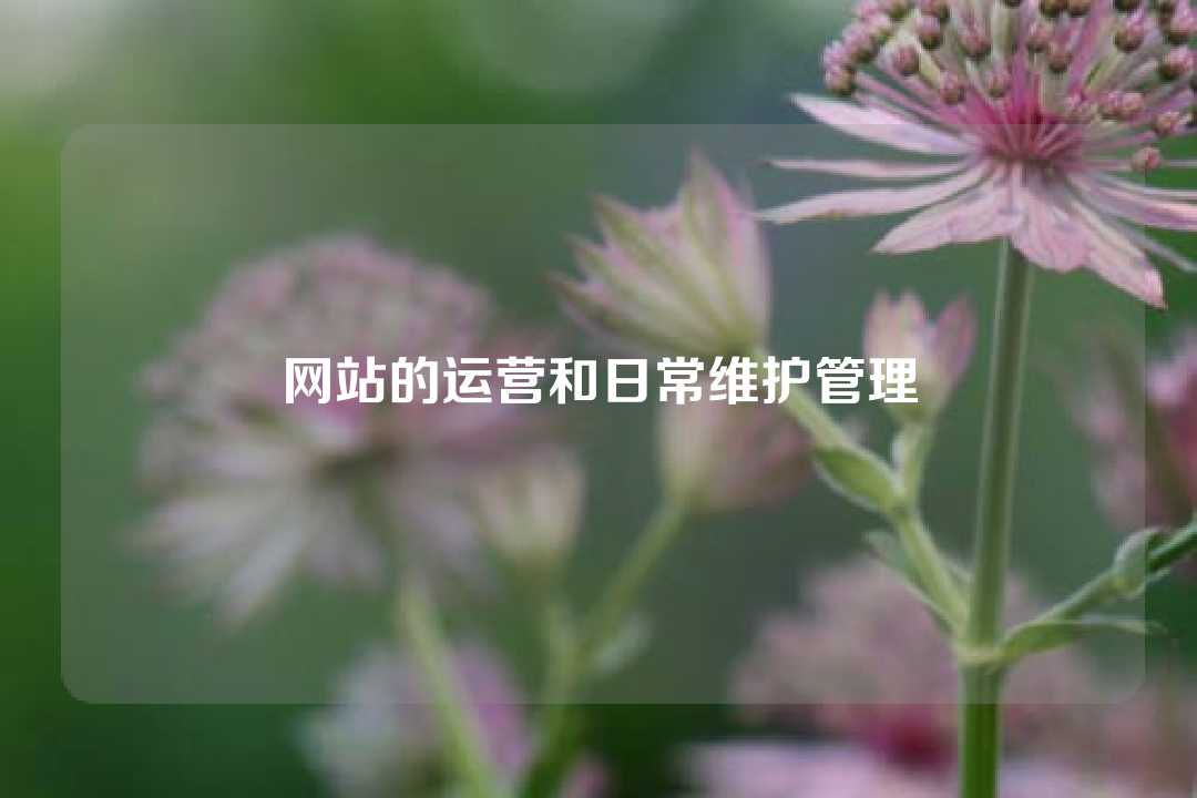 網站的運營和日常維護管理