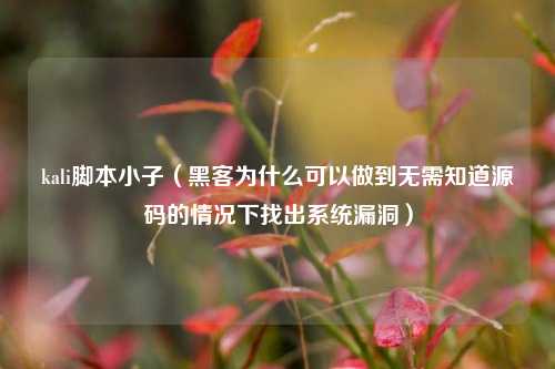kali腳本小子（黑客為什么可以做到無需知道源碼的情況下找出系統漏洞）