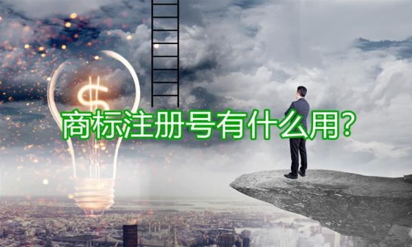 商標(biāo)注冊(cè)號(hào)的用途有哪些？