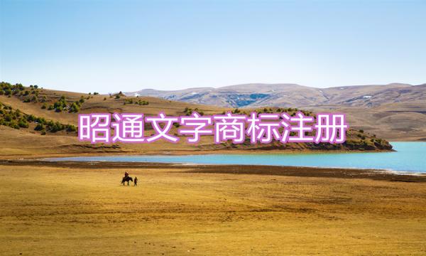 昭通文字商標怎么注冊？