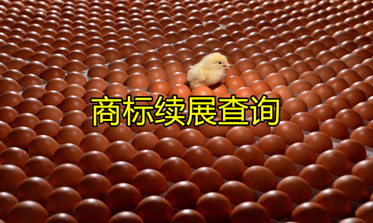 做好商標續展查詢，保護商標不會失效