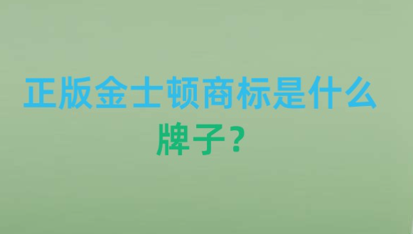 正版金士頓商標是什么牌子？