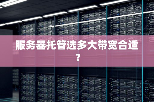 服務(wù)器托管選多大帶寬合適？