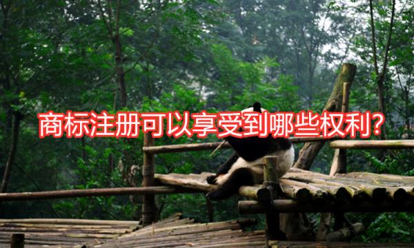 商標(biāo)注冊(cè)權(quán)利