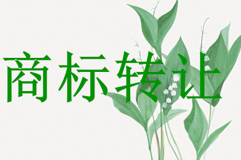 商標(biāo)轉(zhuǎn)讓的過程過于復(fù)雜，如何避免呢?
